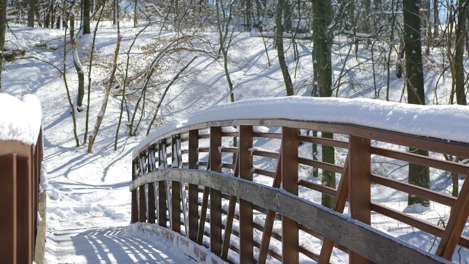 A snow-covered wooden bridge in a forest.