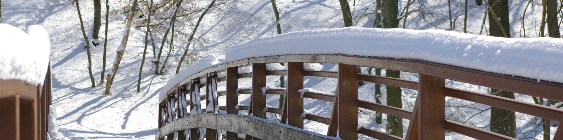 Wooden bridge in the Merrill Park, Colonia, Woodbridge Township, Middlesex County, New Jersey, USA