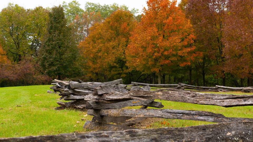 A rustic wooden fence in a grassy field with autumn-colored trees in the background.