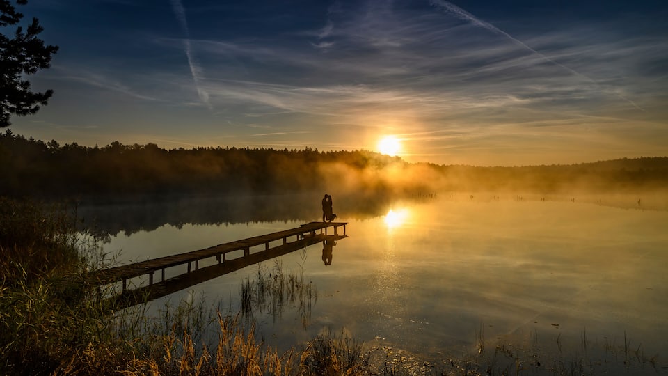 A sunrise over a calm lake with a wooden pier extending into the water, surrounded by trees and fog.