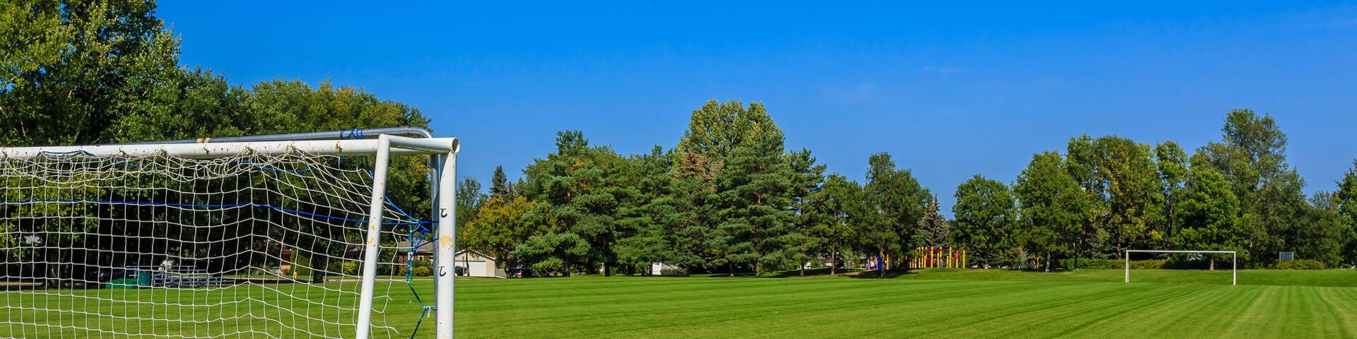 A soccer field with a goalpost, surrounded by trees and a clear blue sky.