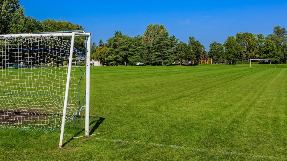 A soccer field with a goalpost, surrounded by trees and a clear blue sky.