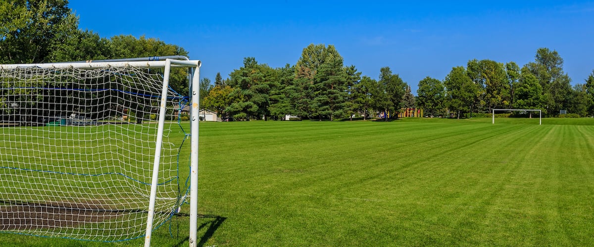 A soccer field with a goalpost, surrounded by trees and a clear blue sky.