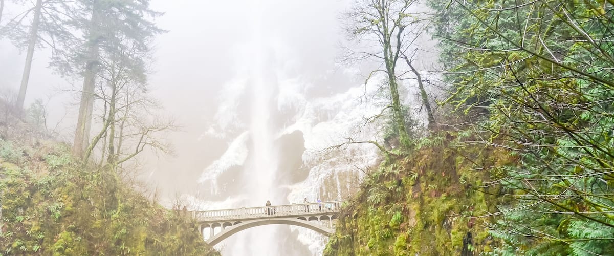 A bridge over a waterfall surrounded by dense forest.