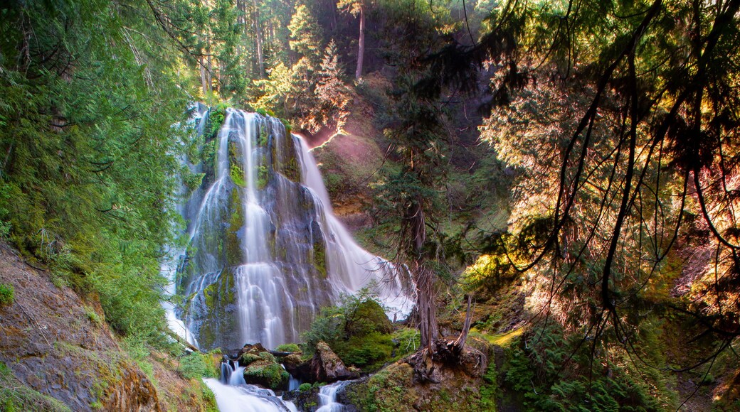 Falls Creek Falls in Washington
