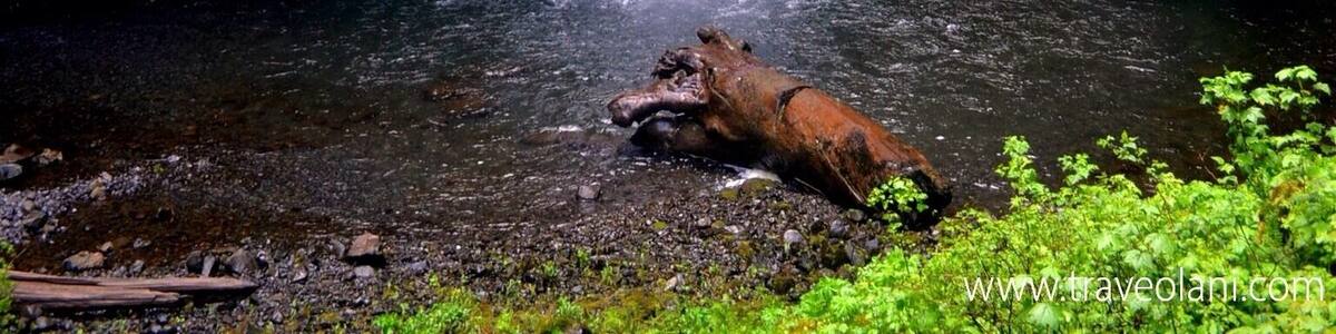 One of the tallest waterfalls in the US in the Columbia River Gorge.
#waterlust