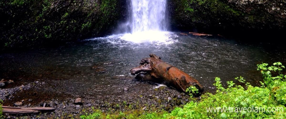 One of the tallest waterfalls in the US in the Columbia River Gorge.
#waterlust