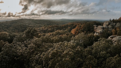 エリザベスタウン