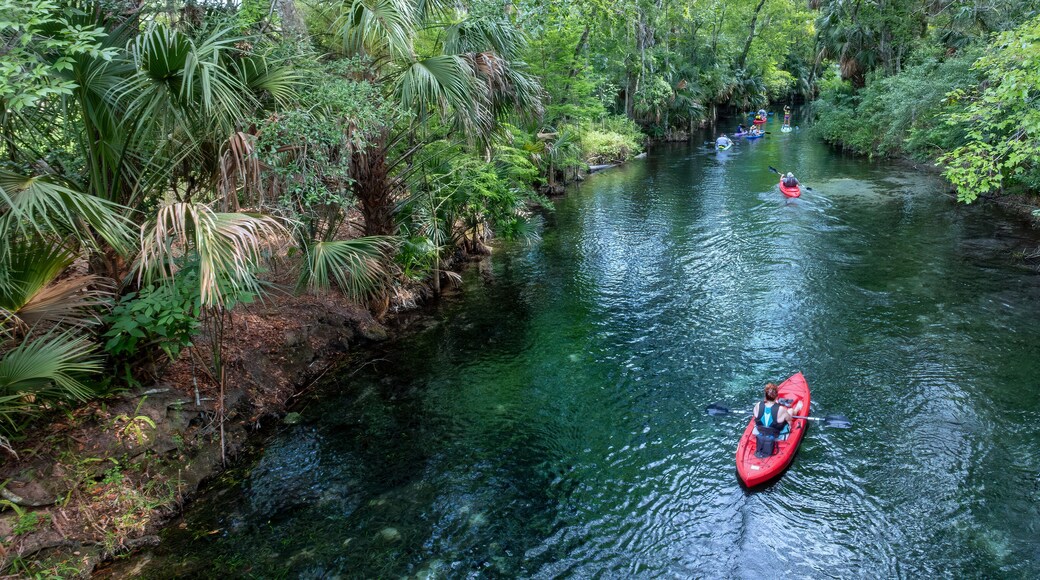 Kayakers on the Silver River at Silver Springs State Park, Florida