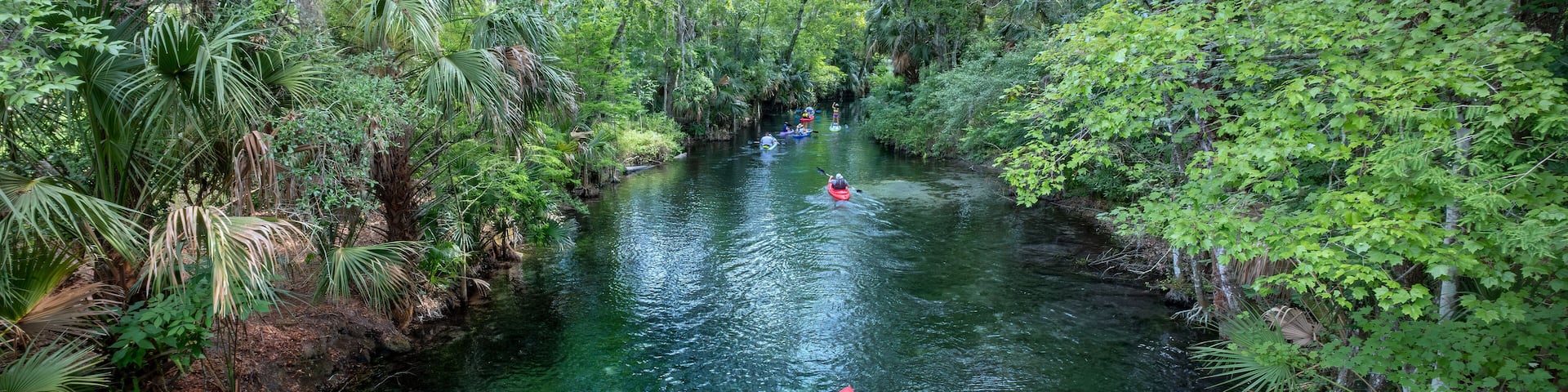 Kayakers on the Silver River at Silver Springs State Park, Florida