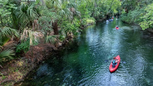 Silver Springs