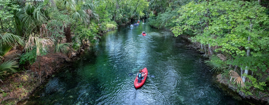 Kayakers on the Silver River at Silver Springs State Park, Florida