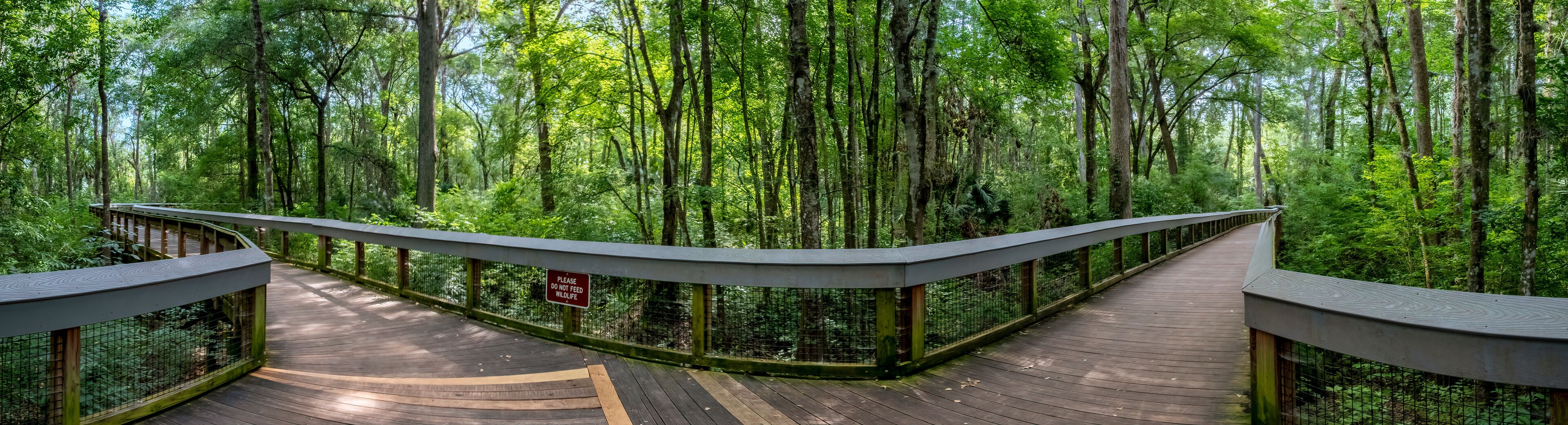 Boardwalk Trail at Silver Springs State Park, Florida