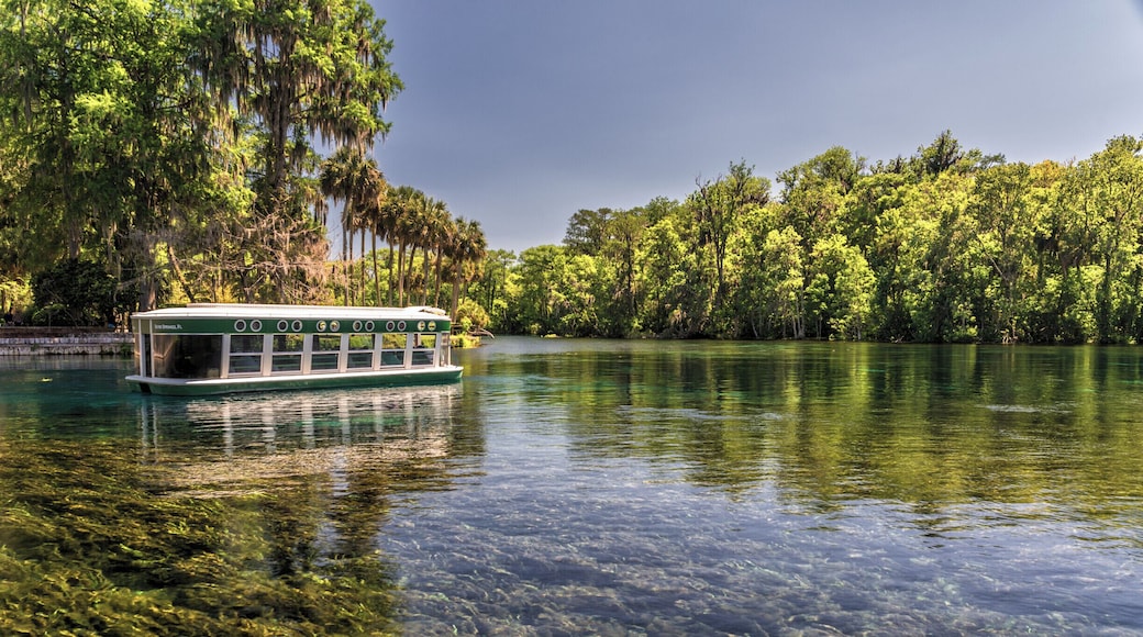 One of the famous glass bottom boats in Silver Springs State Park (Ocala, FL) floats by on the crystal clear water of the Silver River. If you visit Silver Springs, you must take one of these boat rides. In addition to seeing the underwater springs, we also saw manatees, alligators, turtles, monkeys, and birds on our 90 minute tour. #silversprings #florida