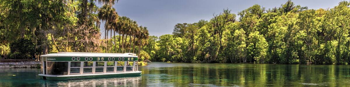 One of the famous glass bottom boats in Silver Springs State Park (Ocala, FL) floats by on the crystal clear water of the Silver River. If you visit Silver Springs, you must take one of these boat rides. In addition to seeing the underwater springs, we also saw manatees, alligators, turtles, monkeys, and birds on our 90 minute tour. #silversprings #florida