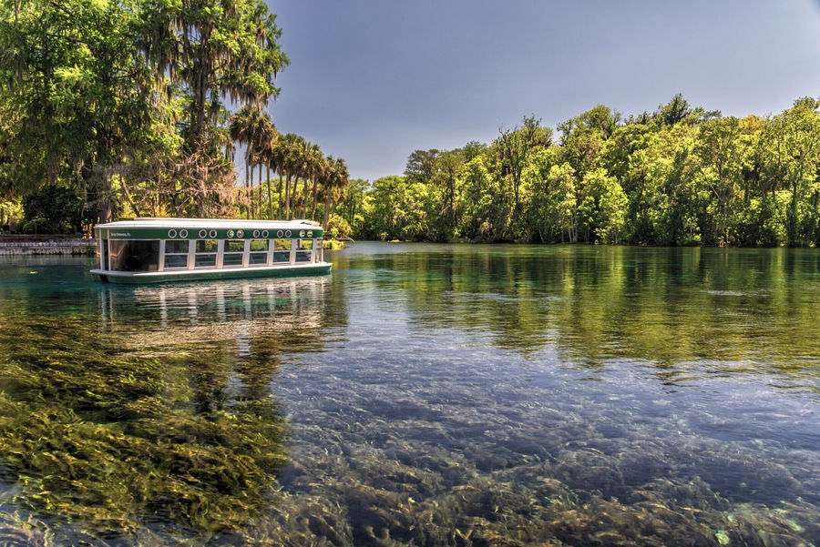 One of the famous glass bottom boats in Silver Springs State Park (Ocala, FL) floats by on the crystal clear water of the Silver River. If you visit Silver Springs, you must take one of these boat rides. In addition to seeing the underwater springs, we also saw manatees, alligators, turtles, monkeys, and birds on our 90 minute tour. #silversprings #florida