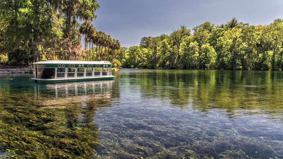 One of the famous glass bottom boats in Silver Springs State Park (Ocala, FL) floats by on the crystal clear water of the Silver River. If you visit Silver Springs, you must take one of these boat rides. In addition to seeing the underwater springs, we also saw manatees, alligators, turtles, monkeys, and birds on our 90 minute tour. #silversprings #florida