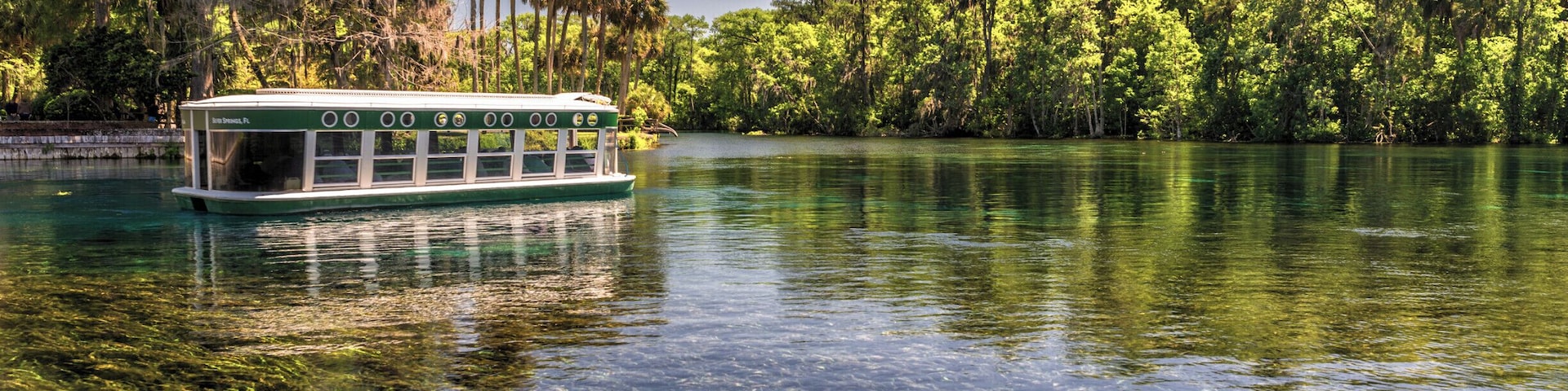 One of the famous glass bottom boats in Silver Springs State Park (Ocala, FL) floats by on the crystal clear water of the Silver River. If you visit Silver Springs, you must take one of these boat rides. In addition to seeing the underwater springs, we also saw manatees, alligators, turtles, monkeys, and birds on our 90 minute tour. #silversprings #florida