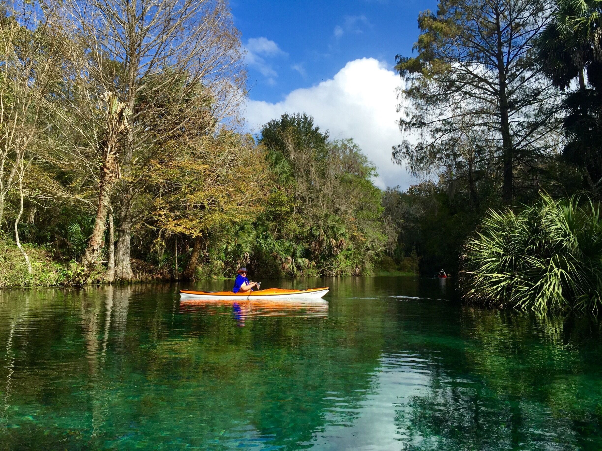 Silver Springs River State Park
Such beauty above and below the water line. 
Launch site at the head springs. 
