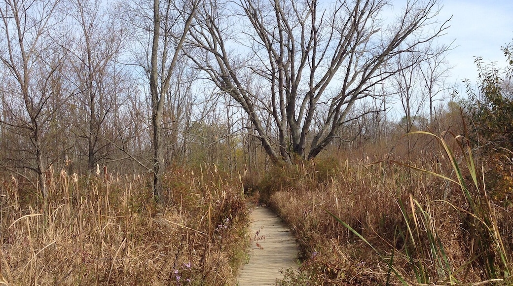 Winter is coming, but the loop through this reserve is still a pleasant and very easy 15 minute jaunt.