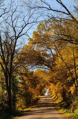 autumn in the country