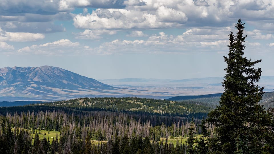 Elk Mountain rises high in southeast Wyoming.