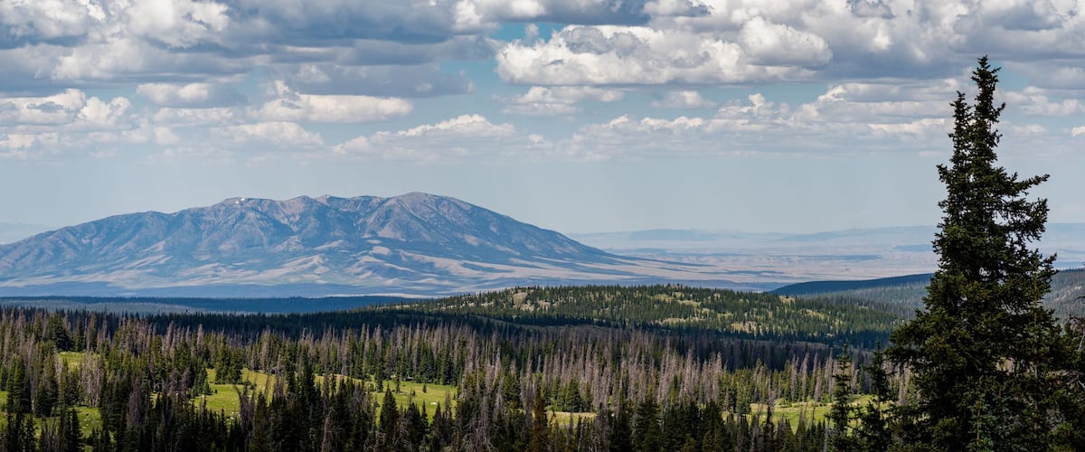 A mountain range with a prominent peak, surrounded by dense forests and a clear sky.