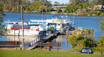 テワンティン 表示 海岸線の眺め と 湾岸あるいはハーバー