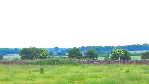 Drystone wall and open country southwest of Leighterton Barrow