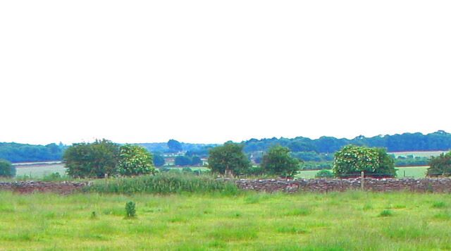 A grassy field with a stone wall and trees in the distance.