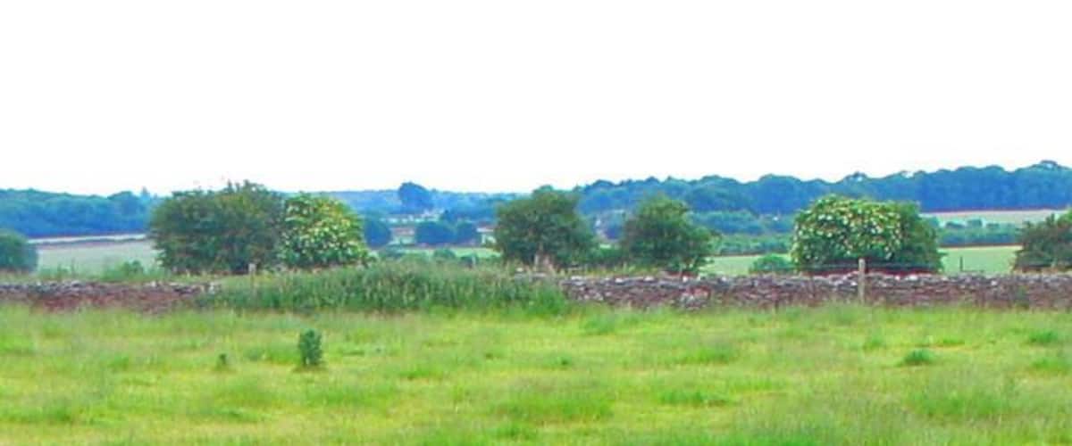 A grassy field with a stone wall and trees in the distance.