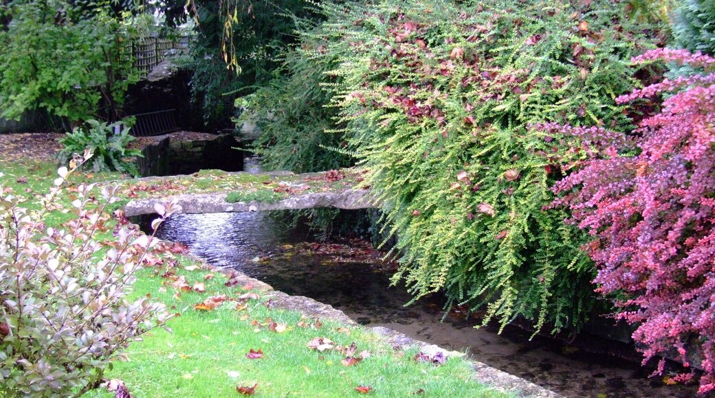 Avening Stream, Avening in the Cotswolds. Camera location 51° 40′ 52.3″ N, 2° 10′ 30.87″ W View this and other nearby images on: OpenStreetMap - Google Earth 51.681194; -2.175242