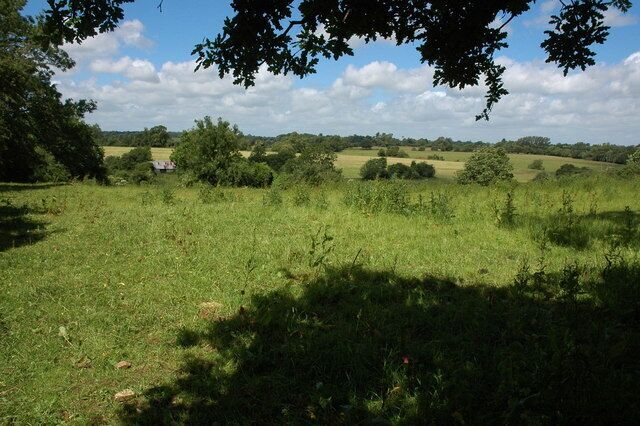 Farmland near Doughton Farmland to the west of Wormwell Lane.