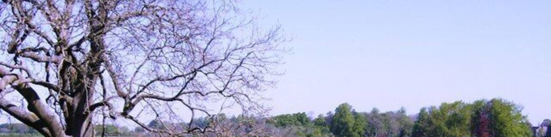 Towards Chavenage Looking north from the top of a rise on the bridleway running along the eastern side of the square. The bridleway route continues in the line of trees rising the other side of the small valley, and leads past Chavenage House (in the top right of the picture and in the next square).