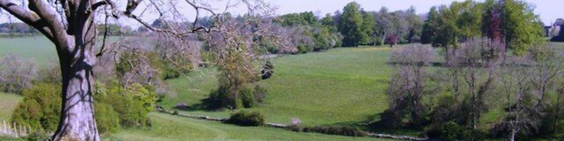 Towards Chavenage Looking north from the top of a rise on the bridleway running along the eastern side of the square. The bridleway route continues in the line of trees rising the other side of the small valley, and leads past Chavenage House (in the top right of the picture and in the next square).