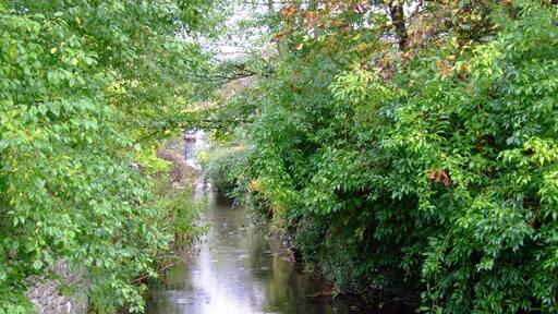 Avening Stream, Avening in the Cotswolds. Camera location 51° 40′ 52.3″ N, 2° 10′ 30.87″ W View this and other nearby images on: OpenStreetMap - Google Earth 51.681194; -2.175242