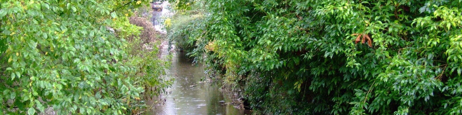 Avening Stream, Avening in the Cotswolds. Camera location 51° 40′ 52.3″ N, 2° 10′ 30.87″ W View this and other nearby images on: OpenStreetMap - Google Earth 51.681194; -2.175242