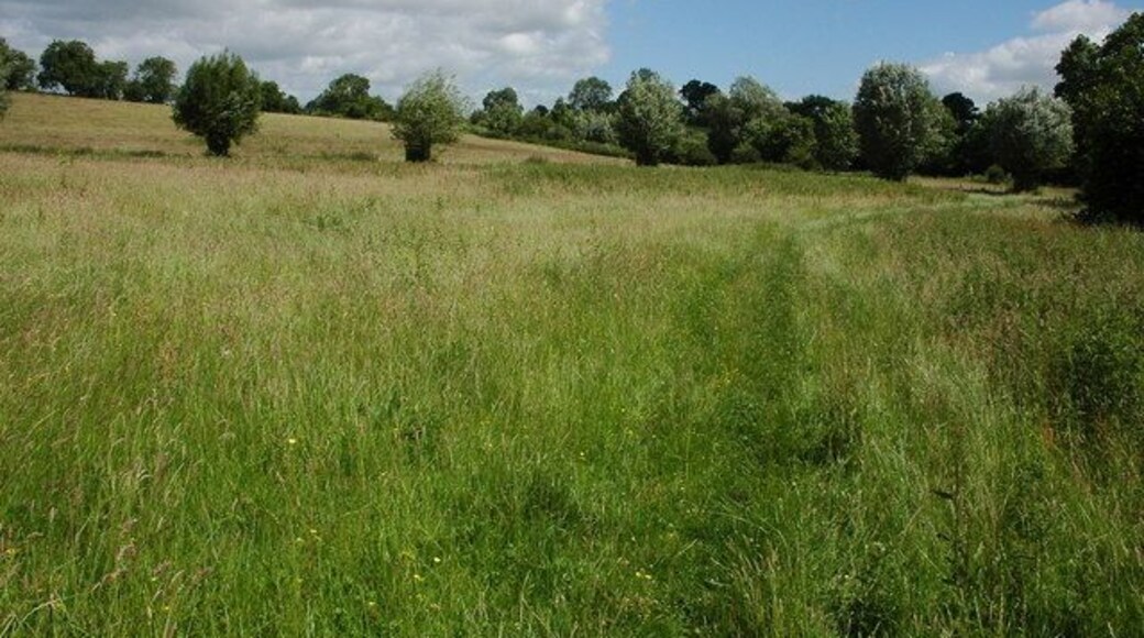 Footpath to Tetbury Footpath through a valley near Thorn Covert.