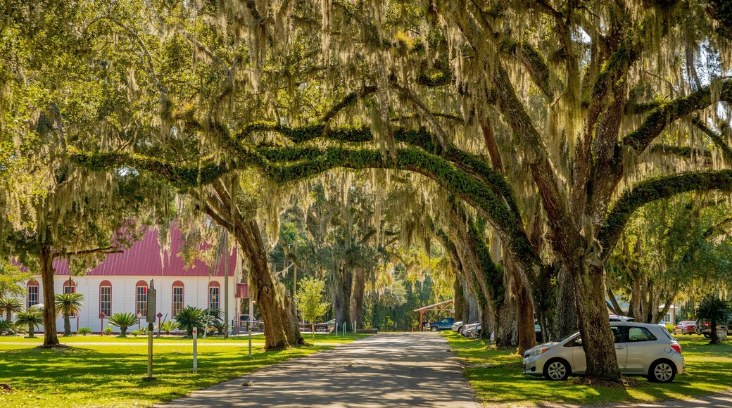 Elkton featuring a garden