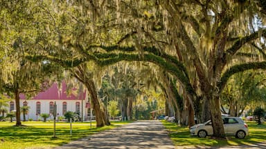 Elkton featuring a garden
