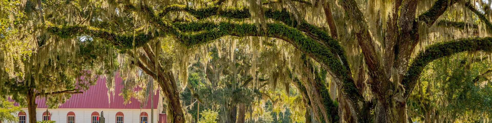 Elkton featuring a garden