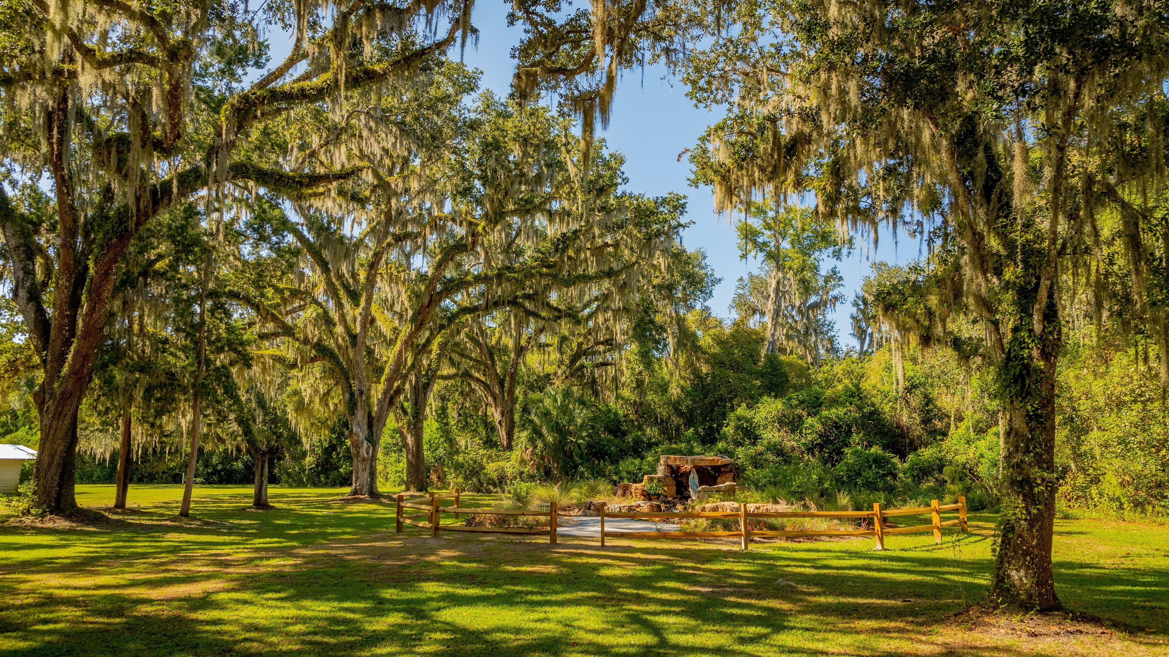 Elkton showing a garden