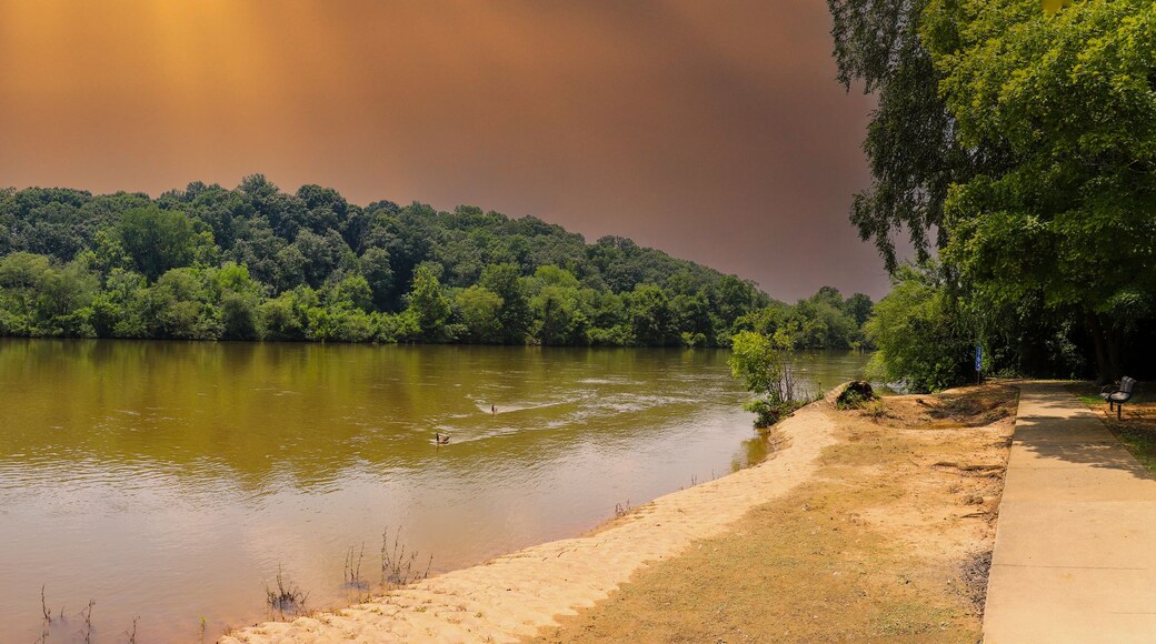 a stunning panoramic shot of the silky brown water of the Chattahoochee river surrounded by lush green trees reflecting off the water with ducks swimming at sunset at Azalea Park in Roswell Georgia