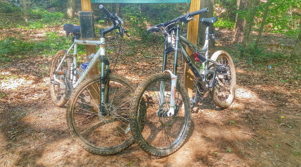 By far the nicest, best maintained, longest park I have ever visited. My complete favorite. Awesome trails for everything from biking to jogging. Cleanest park I have ever seen.