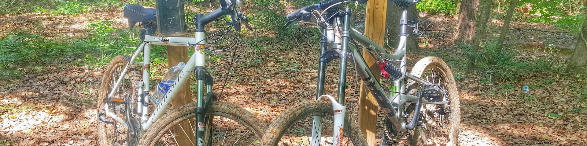 By far the nicest, best maintained, longest park I have ever visited. My complete favorite. Awesome trails for everything from biking to jogging. Cleanest park I have ever seen.