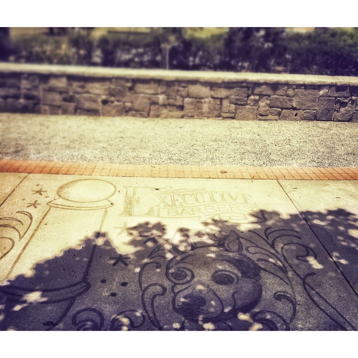 @lawreceville Suwannee park near the fountains.