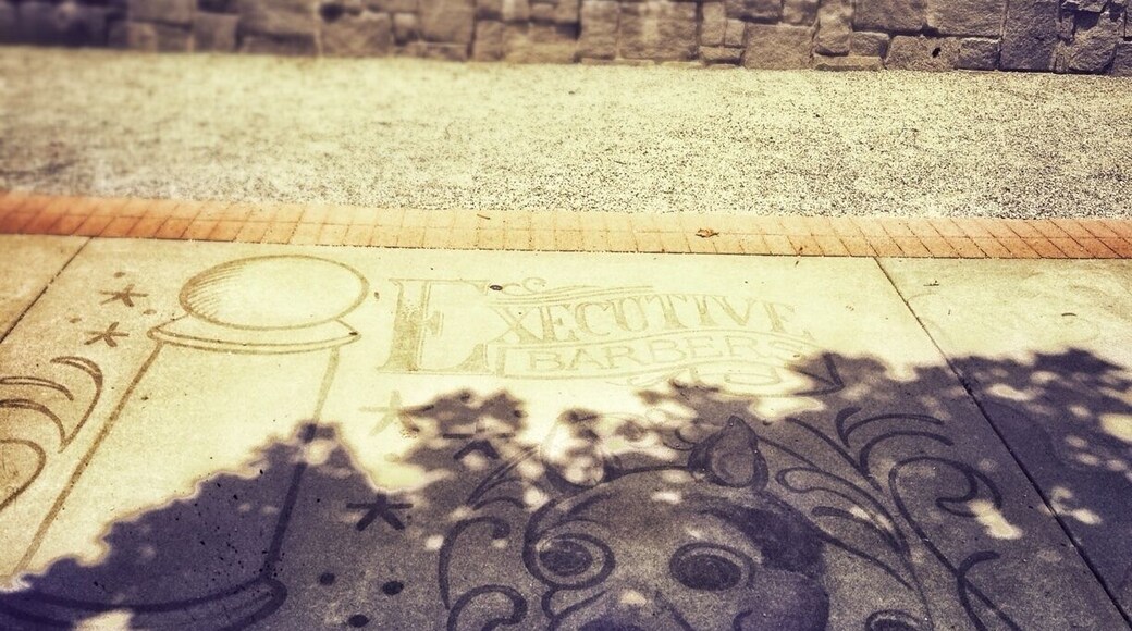 @lawreceville Suwannee park near the fountains.