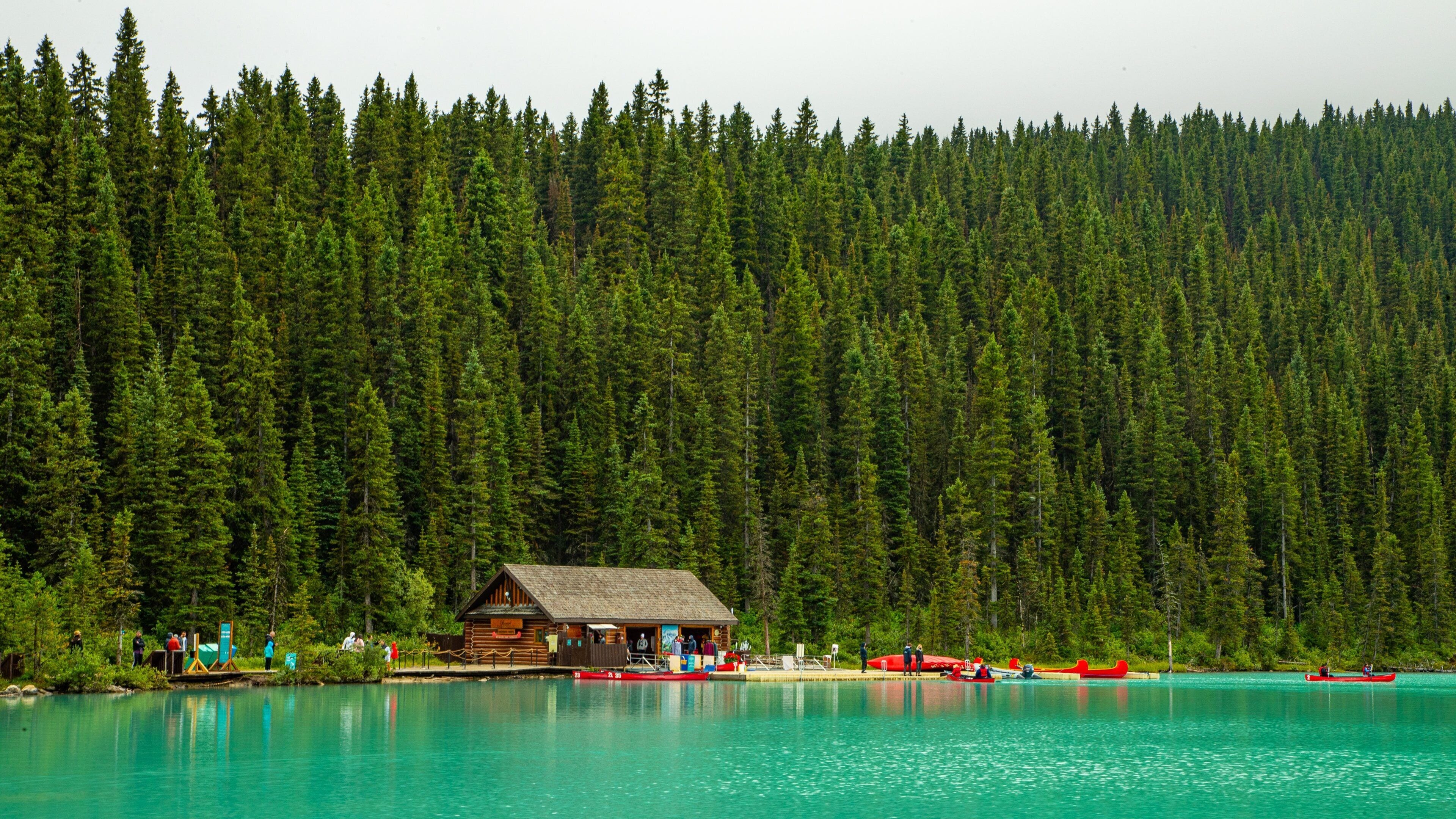 Lake Louise which includes forests and a lake or waterhole