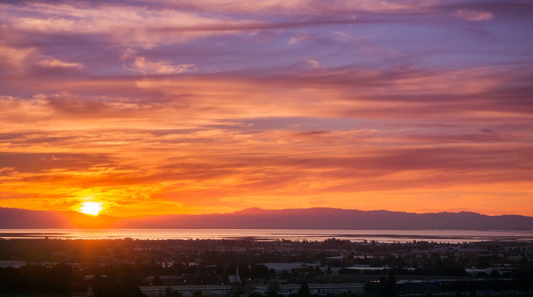 ยูเนียนซิตี