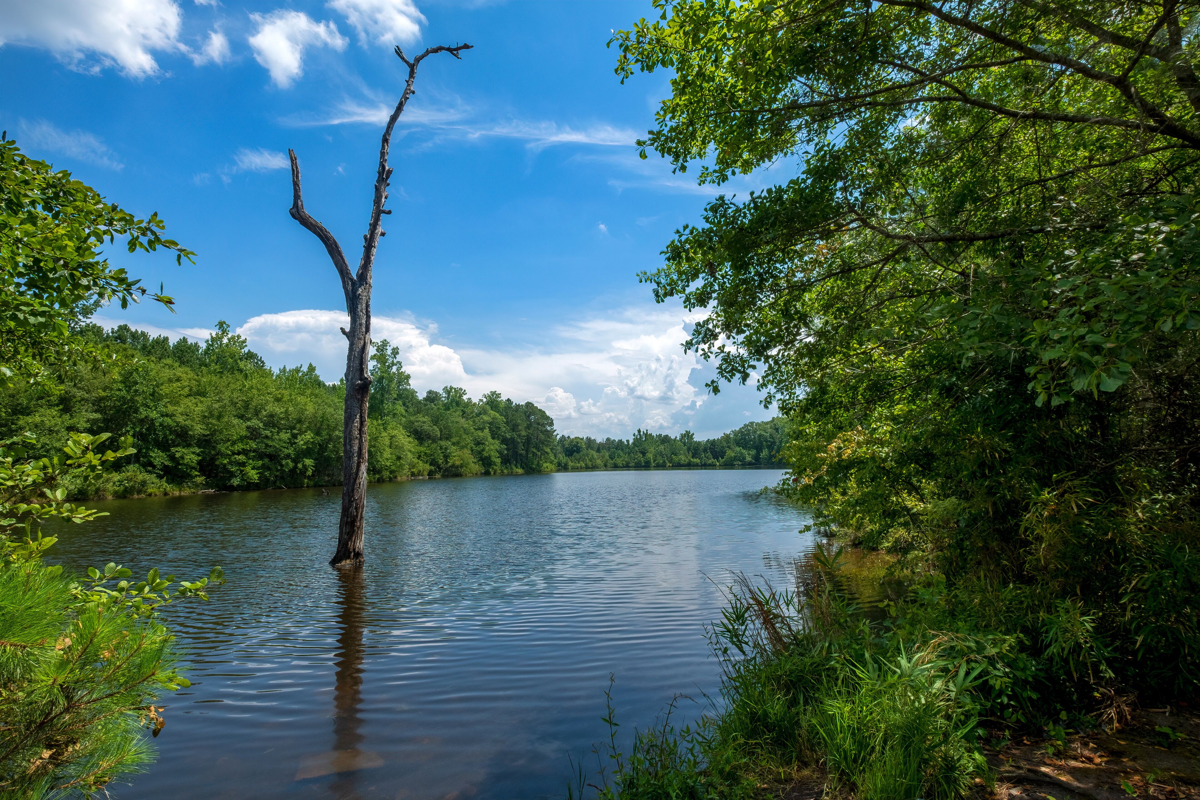 Mountain Lake, Araiba Mountain, Georgia, USA